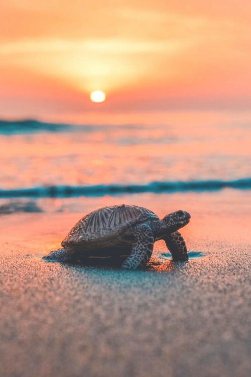 BeautyNature___'s tweet photo. Good morning friends. 
#nature #NaturePhotography https://t.co/Th792TLzEw