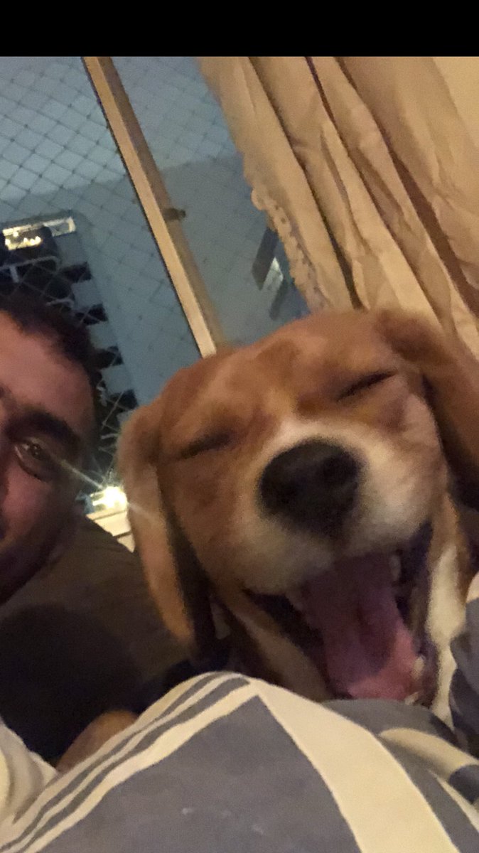Pedro Netto tweet media