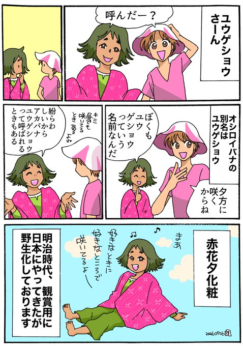 植物擬人化bl風味 を含むマンガ一覧 ツイコミ 仮