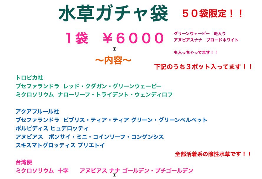 Aqua Revelation J B 水草ガチャ袋 装填完了しました 限定50袋 アクアリウムバス アクバス Jb 水草 ブセファランドラ アヌビアス ミクロソリウム ボルビディス T Co Fpzatvcrdh Twitter Aqua Revelation J B 水草ガチャ袋 装填完了しました 限定50袋 アクアリウムバス アクバス Jb 水草 ブセファランドラ アヌビアス ミクロソリウム ボルビディス T Co Fpzatvcrdh Twitter