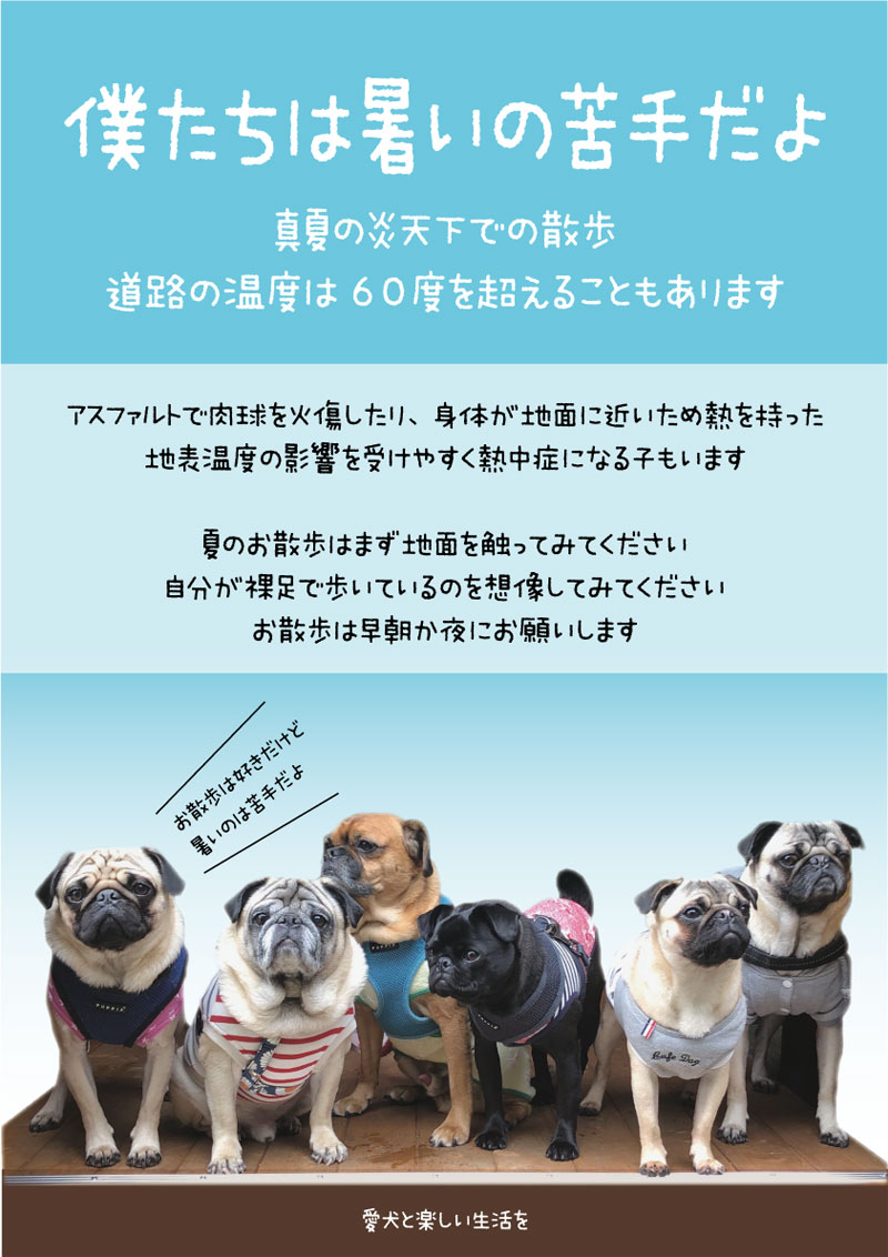 ヨウイチとトコ11歳とコト7歳とトマ3歳 こんな暑い日中にワンちゃんの散歩してる人がいる 軽く やめたほうがいいですよ って声かけたらたら うちの子散歩が大好きなんです って えー 肉球火傷するよ 下手すれば熱中症で死んじゃうよ パグ ヨウイチとトコ11歳とコト7歳とトマ3歳 こんな暑い日中にワンちゃんの散歩してる人がいる 軽く やめたほうがいいですよ って声かけたらたら うちの子散歩が大好きなんです って えー 肉球火傷するよ 下手すれば熱中症で死んじゃうよ パグ