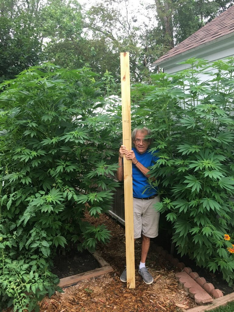 All I wanted was to discreetly grow a few plants...