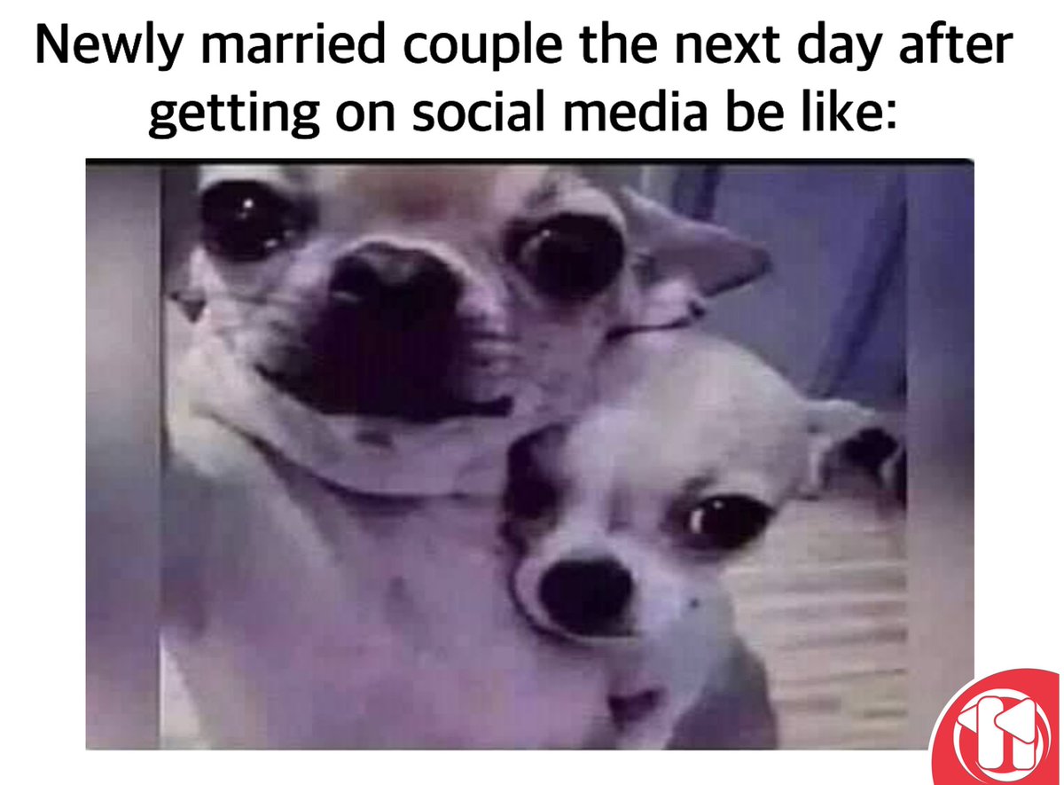 14AGAINInc's tweet photo. Lmfao. 😂

#top #music #love #s #trending #instagram #ps #follow #easports #memes #nhlfranchisemode #rap #youtube #hiphop #o #like #fitness #instagood #covid #food #f #foodie #football #meme #nutrition #a #spotify #topten #musica #bhfyp https://t.co/hgdEtPQ87i