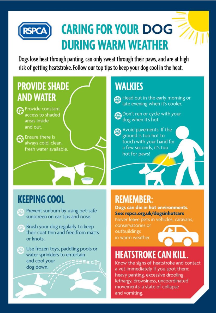 northantsfire's tweet photo. It looks like it's going to be a warm day. @RSPCA_official has lots of advice on how to care for your four-legged members of your family, including never leaving them in cars, even in the shade.
Please share.
https://t.co/MbYLrNjnZk https://t.co/53Cng47Jhu