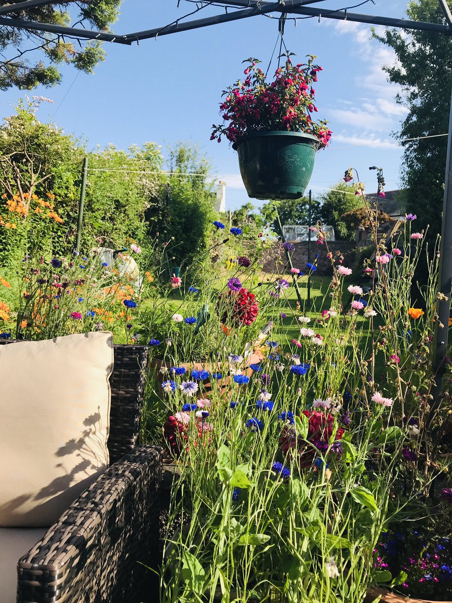 Charles Gall tweet media