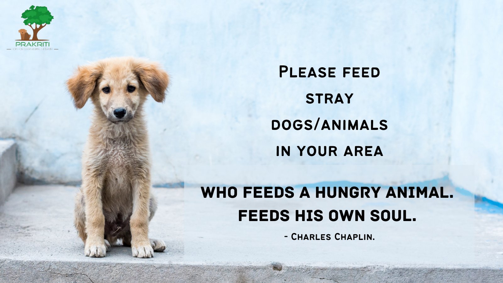 Prakriti Hope for stray animals and nature on Twitter: Prakriti Hope for stray animals and nature on Twitter: