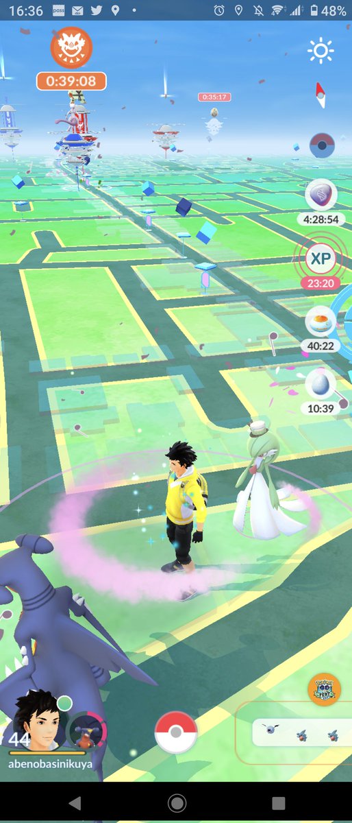 肉屋 元ポケモンgoテスター Pokemon Nikuya Twitter