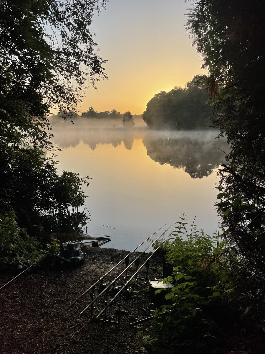 How nice to wake up to this 🎣👌