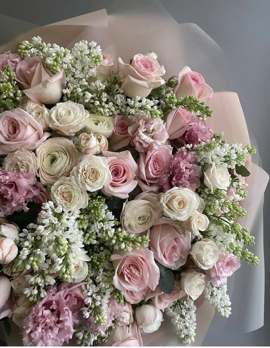      Happy birthday Fern    Wishing you. Wonderful day 