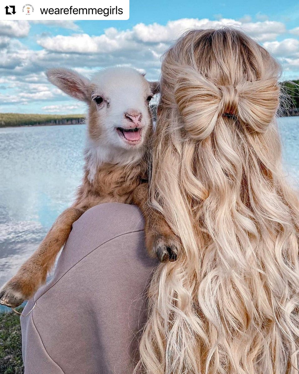 KnightAndWilson's tweet photo. For those without an adorable pet to add to their look, this bow hairstyle is so cute for a pic.
#Pic via @wearefemmegirls
#blondehair #curlyhair #goat #bow #cute #style #longhair #goodhairday #hairoftheday #weekendhair https://t.co/ICjGWDNrYQ