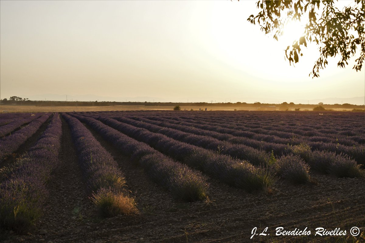 SELU©Photography (@proyecfotoselu) on Twitter photo 