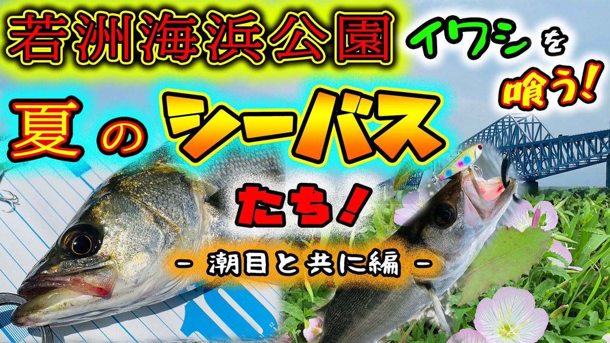 釣りは一生やるch Turi Issyo Twitter 釣りは一生やるch Turi Issyo Twitter