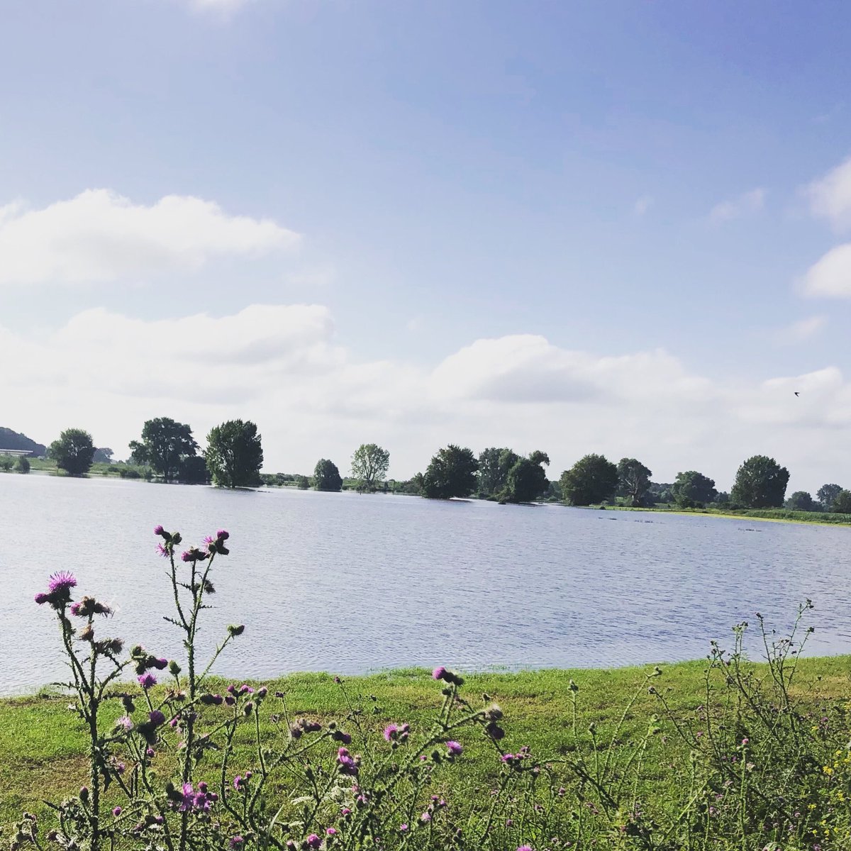 Fijn dat de zon zich dit weekend laat zien. Maar ALSJEBLIEFT! Ga niet ⛔ zwemmen in de Waal, Maas of zwemwater dat daarmee in verbinding staat. De stroming is nu zeer gevaarlijk en er drijft van alles in het water. Op de hoogte blijven? 
Volg de liveblog van <a href="/wsrivierenland/">Waterschap Rivierenland</a>.