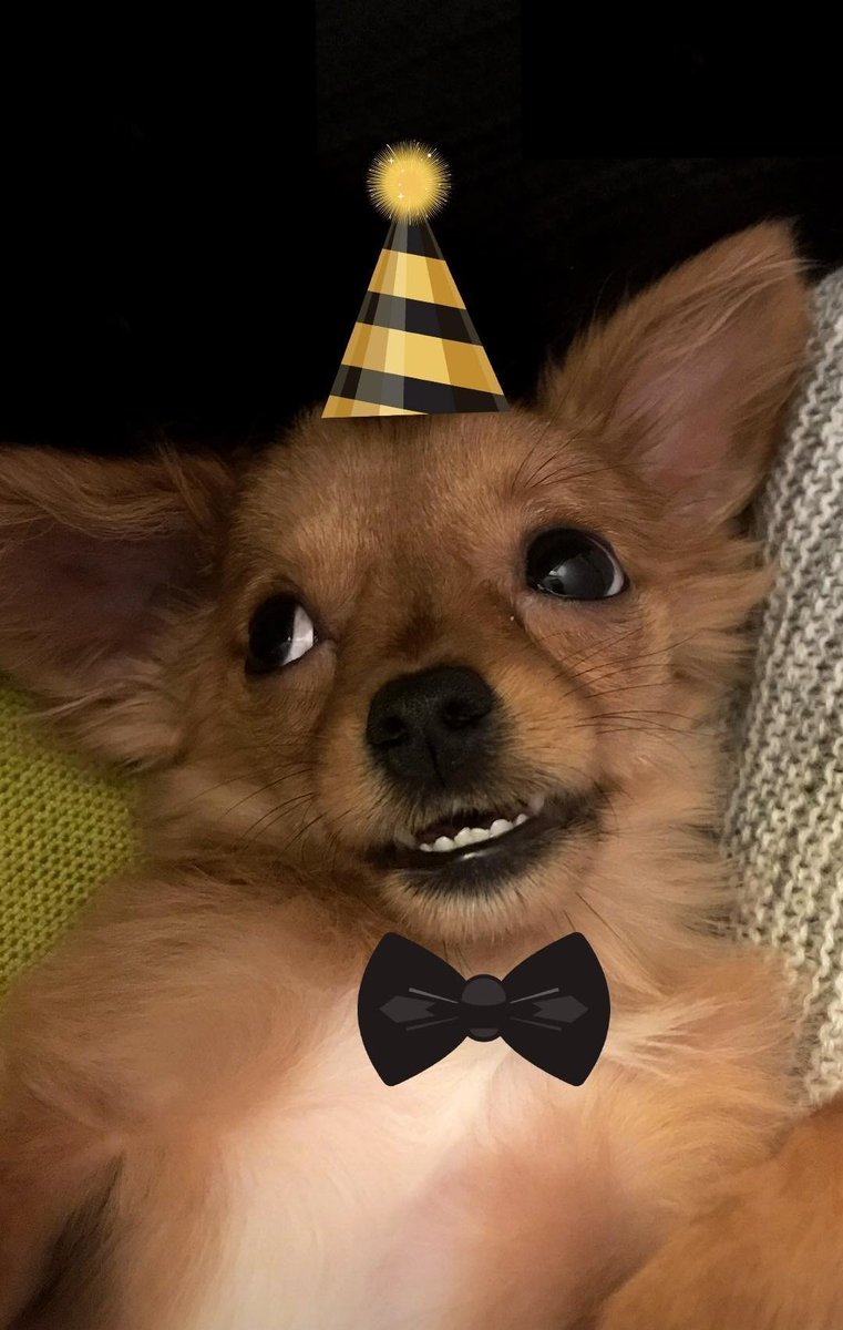 gercektn ii ki mi doğdm 🦊🎂