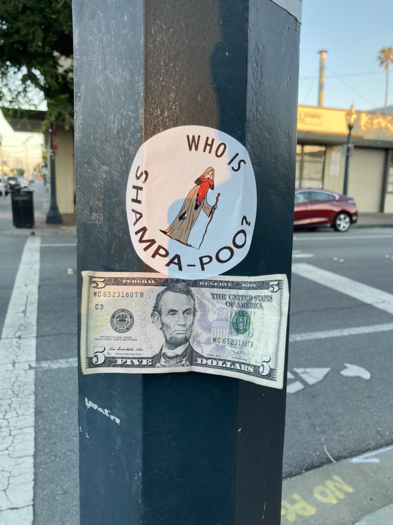 ShampaPoo's tweet photo. People who no care so much about paper coin with picture of handsome bearded Khan on it want to know #WhoIsShampapoo https://t.co/wsxQ0YJJlZ