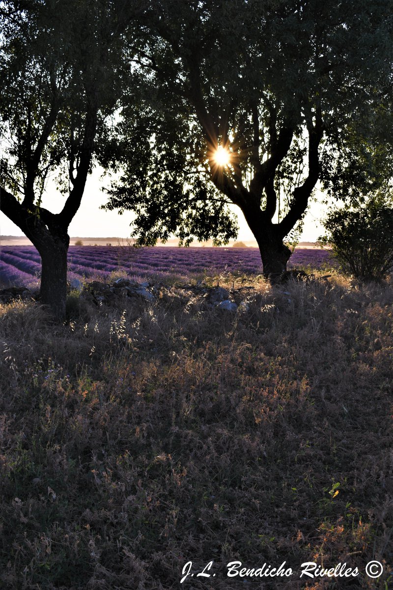 SELU©Photography (@proyecfotoselu) on Twitter photo 