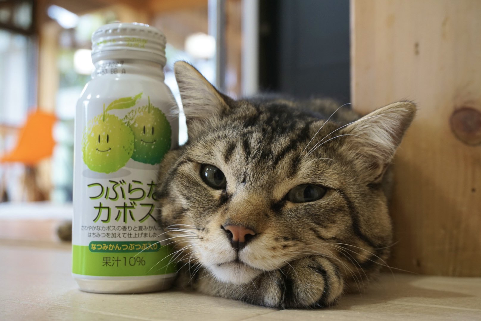 Jaフーズ大分 Twitter Search Twitter