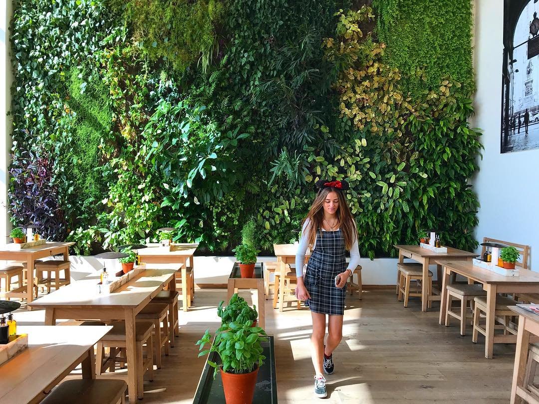 Vapiano_Fr's tweet photo. Un déjeuner au vert 🌿
📷 @danielswalford
#Vapiano #LoveVapiano #FaitMaison #Homemade #AddictedToPasta #PastaLovers https://t.co/fk9oOWg3UG