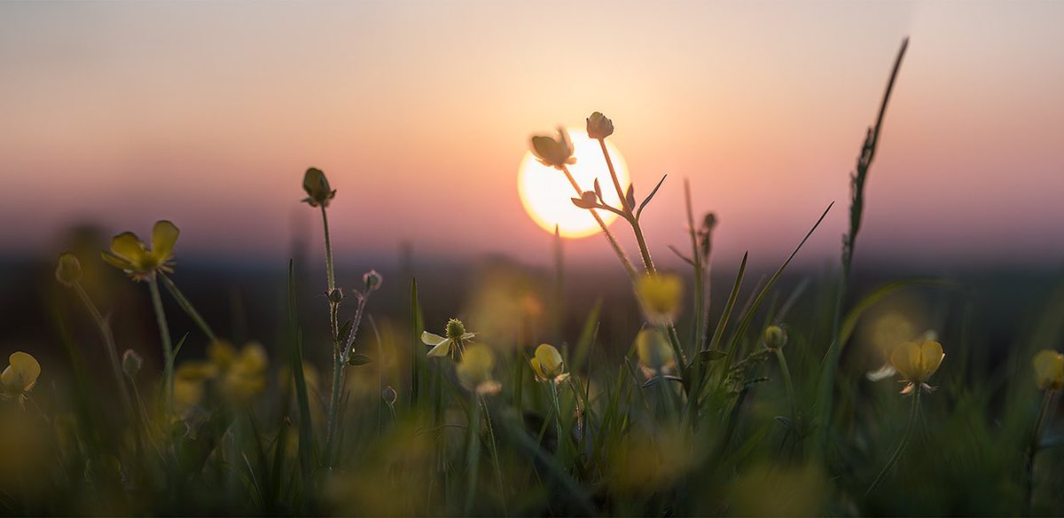 AndrewPBrooks's tweet image. Thanks for sharing! This is one of my photographs that are available from my Postcard Shop, andrewbrooksphotography.com/andrew-brooks-…

Here’s a few more of these postcards.