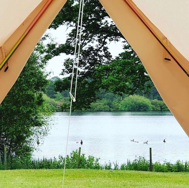 champneys's tweet photo. WAKE UP TO NATURE on a glamping spa break and enjoy breakfast in bed amid the soothing ripple of our private lake and the gentle chatter of wandering wildlife 🦆 #glampneys #glamping #forestmere #champneys #staycation #wildlife #englishlake #lakesideliving
@themeparkfamilyworld https://t.co/vxbfFXQjci
