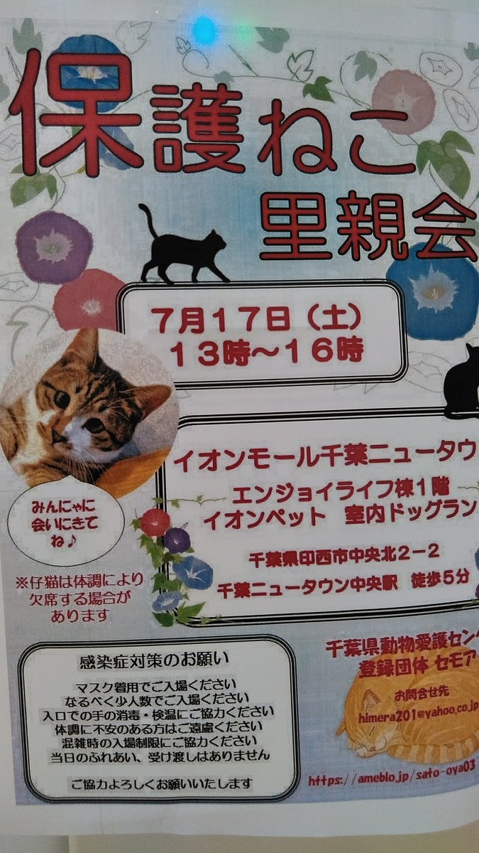 さぶろうたん セモア 保護ねこ里親会 本日７月１７日 土 はイオンモール千葉ニュータウン エンジョイライフ館１階 イオンペットドッグラン内にて１３時 １６時で開催です 大人猫さんや子猫さんが皆様のお越しをお待ちしております O