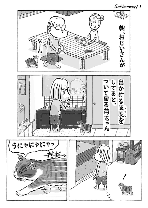 2ページ猫漫画「先まわり」 #猫の菊ちゃん 