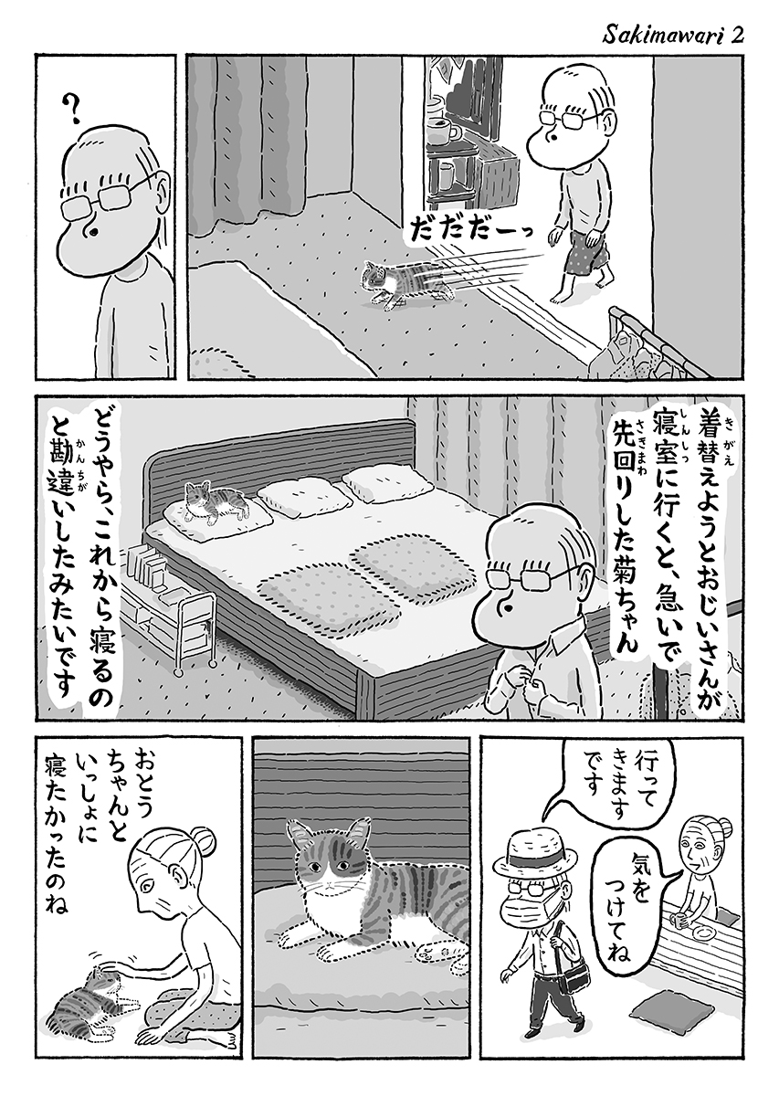 2ページ猫漫画「先まわり」 #猫の菊ちゃん 