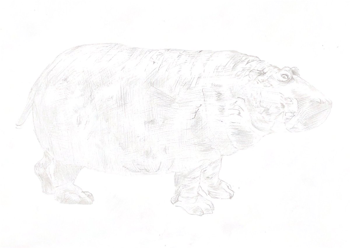 Twoucan カバ の注目ツイート イラスト マンガ