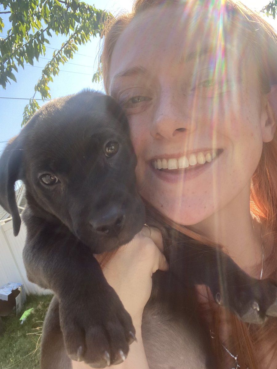 mongoosemcgee's tweet photo. my heart is super full right now. 
Say hello to Suki !!! https://t.co/ZZCIZPeDGE