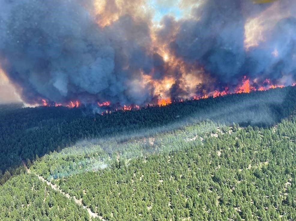 CityNewsVAN's tweet image. The Union of BC Indian Chiefs is joining a chorus of voices demanding the province to declare a state of emergency due to wildfires that are disproportionately threatening First Nations communities bit.ly/3kG91zt