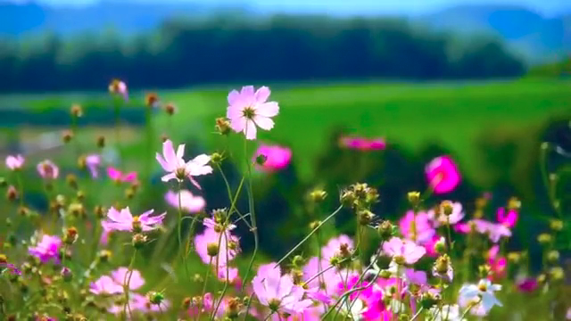 Mind fresh meditation music. (@meditat11228274) on Twitter photo 