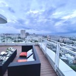 狂寅虎∴とらこ✿??retreat de ポニーテイル✨??✨のツイート画像