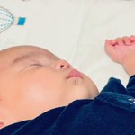 狂寅虎∴とらこ✿??retreat de ポニーテイル✨??✨のツイート画像