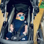 狂寅虎∴とらこ✿??retreat de ポニーテイル✨??✨のツイート画像
