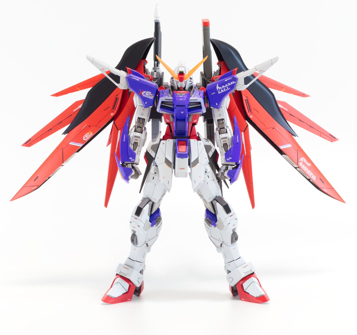 ハイネ専用デスティニーガンダム Mg MG デスティニーガンダム