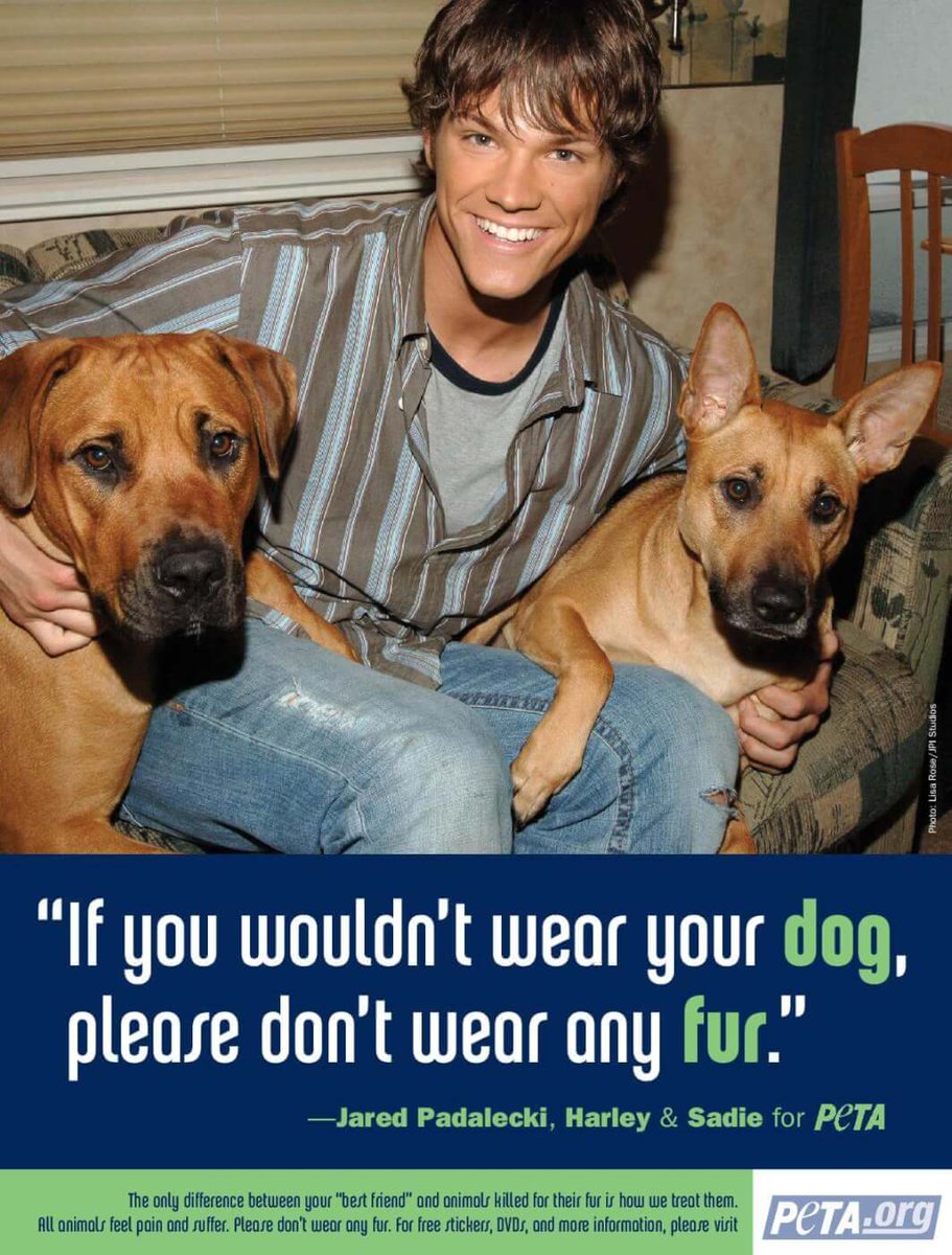 samsjuliette's tweet photo. Jared did a campaign for PETA2 about not wearing fur.
#WeLoveYouJaredPadalecki #HappyBirthdayJared #HappyBdayJaredPadalecki https://t.co/JUOd1TrQAq