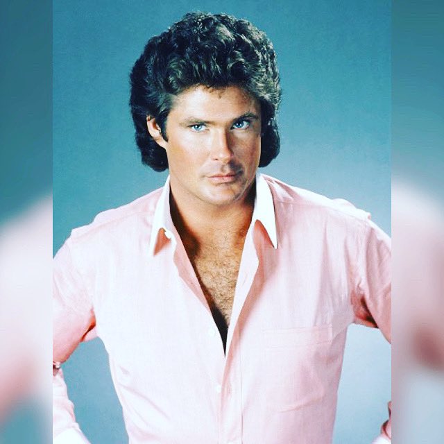 Happy Birthday David Hasselhoff   