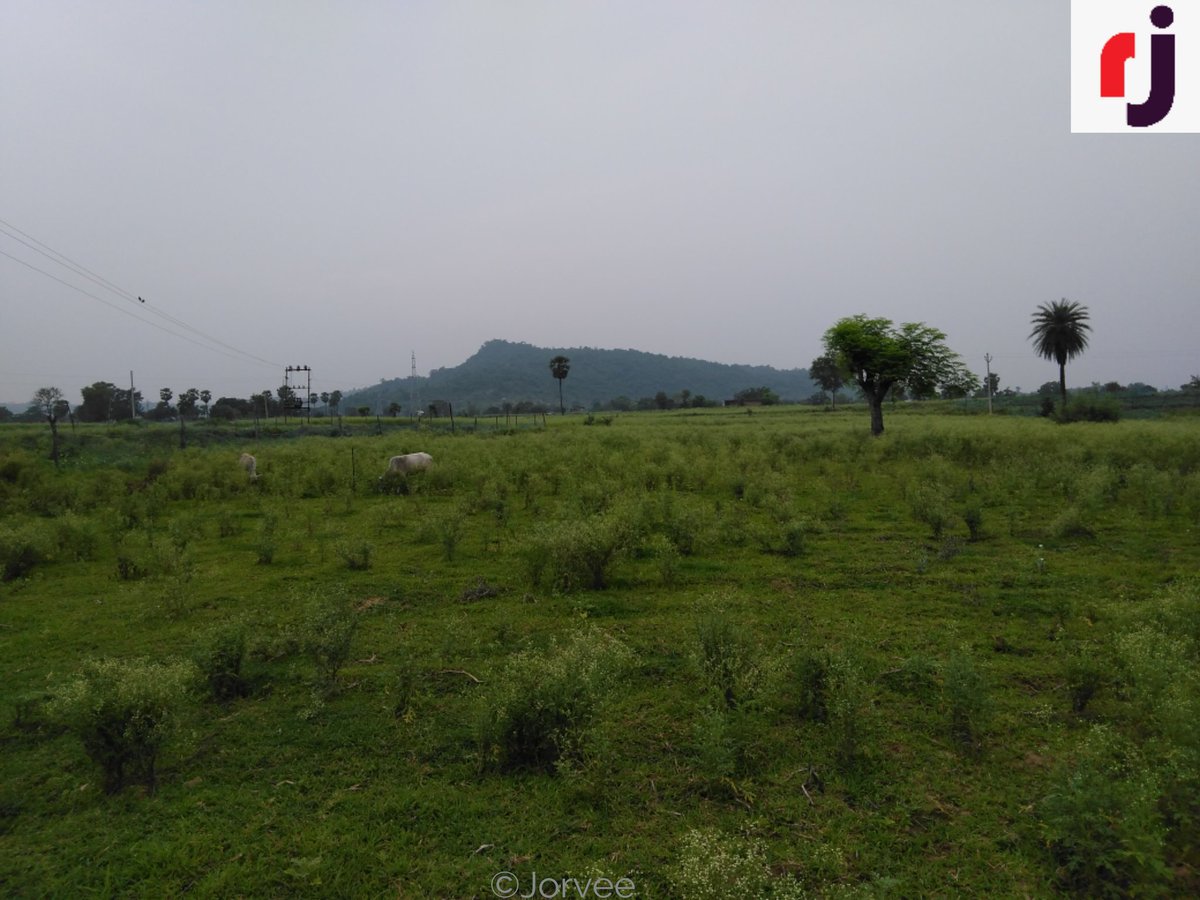 RashidJorvee's tweet image. Landscape view. Green Earth

#jorvee #rashidjorvee