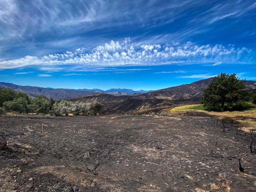 SteveTVNews's tweet photo. Just a few of the photos I snapped in Wenatchee over the past few days while covering the #RedAppleFire with @MaddyKOMO.
A big thanks to all of the firefighters, who’ve been putting in long hours to try to contain the fire.
Thankfully, no homes have been lost. https://t.co/H3te6gyOhv