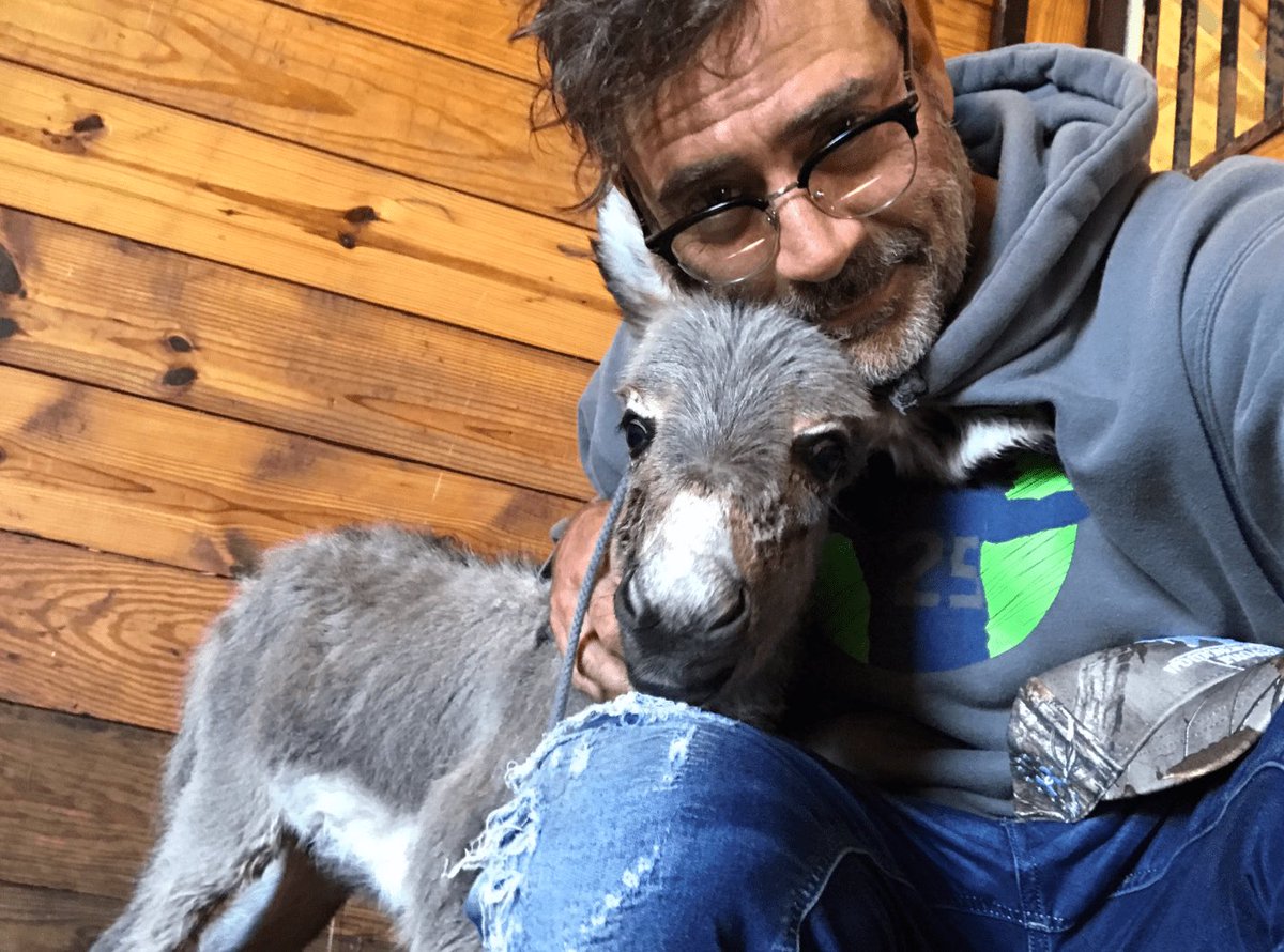 EastCoastFox72's tweet image. @EvelDick why does @JDMorgan look like you here? #mustbethebeards #sameglasses