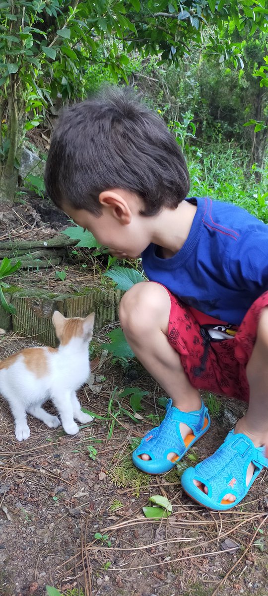 BronzOncu's tweet photo. Bir kedi gördüm sanki https://t.co/zppsejNElt