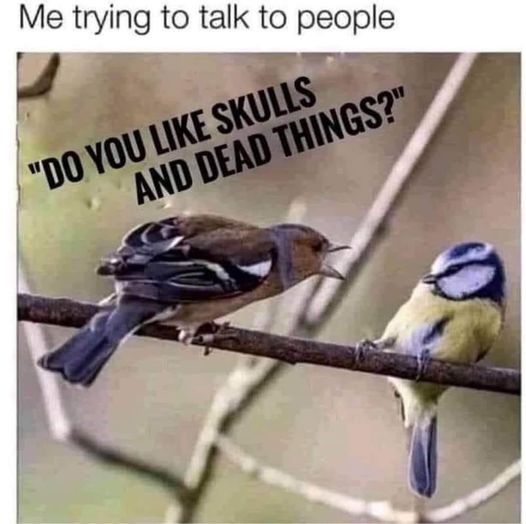 AsianNancyGrace's tweet photo. This is SO ME #MorbidAF ๐คฃ https://t.co/sWwAmEZ5vO