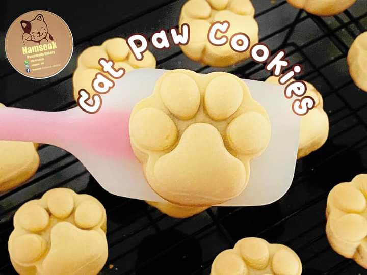 คืนความสดใสให้แท็กอีกครั้ง🐱☺️

มาจ้าา ใครยังไม่ได้ ก็ขอให้ได้สักที~

แจก 2 กล่องไปเลยวันนี้ 

"เม้นอะไรมาก็ได้ ติดแท็ก⬇️"

CatCher Talk 

#มาเล่นกันนะแมวของเฌอ 
#CherprangBNK48