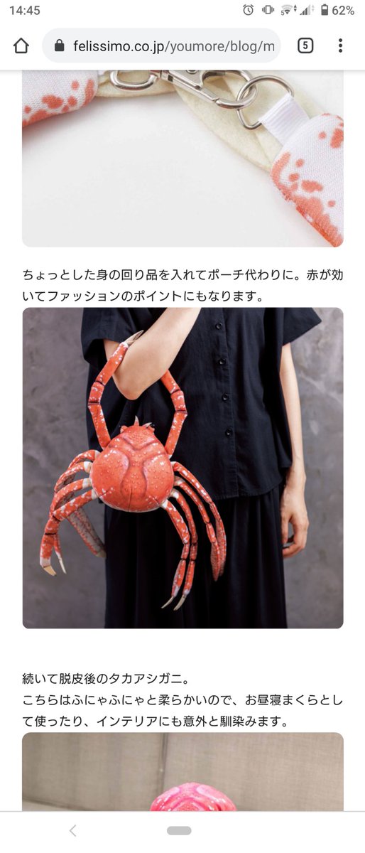 新江ノ島水族館とコラボ！タカアシガニ脱皮ぬいぐるみ｜YOU MORE