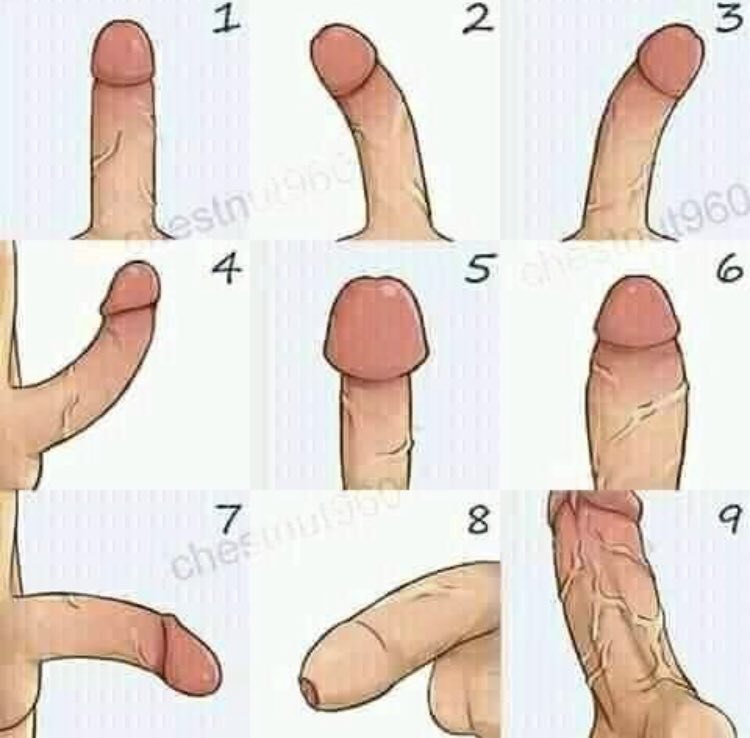 NovinhoZn5's tweet photo. Qual que é o seu? Quero saber pq de repente �� o meu favorito rsrs https://t.co/fXgweFIoPz