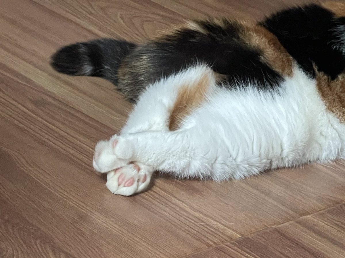 มอนิ่งแม่แม่