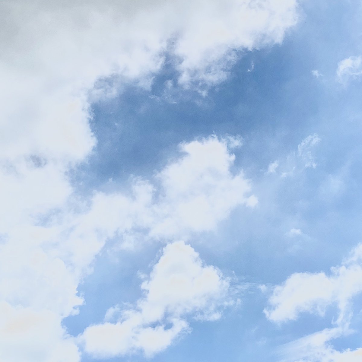 𝗺 (@m_mumod) on Twitter photo 