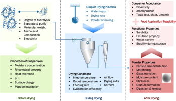 FoodResearchLa1's tweet image. #Spraydrying strategy for encapsulation of bioactive peptide powders for #foodapplications : bit.ly/2TG2NnO

#foodproduct #foodconsultingservices #foodformulation #foodconsultants #foodglobalcompanies #foodreversengineering