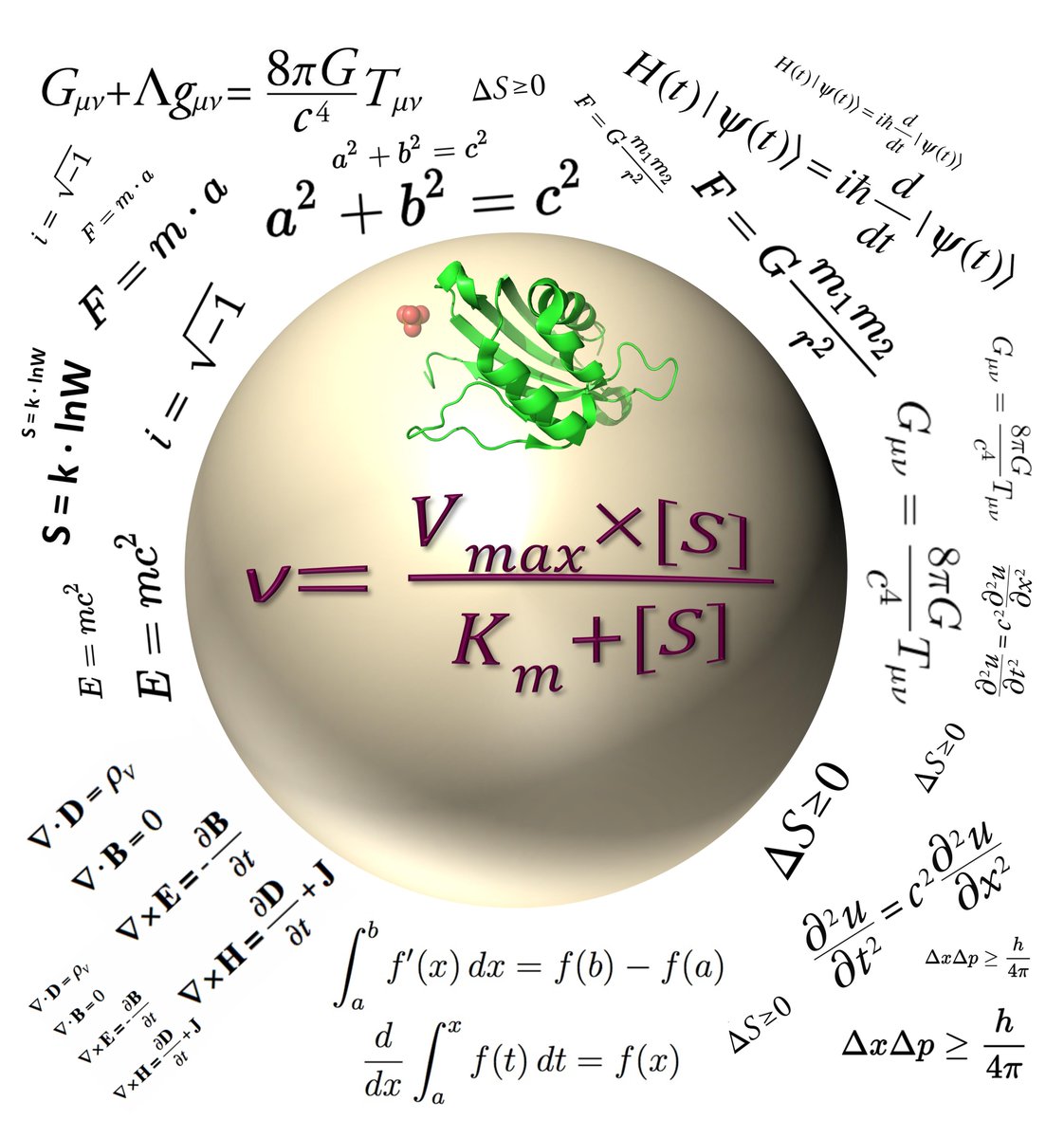 Bharath Srinivasan (@bharath_igc) on Twitter photo Which is the most important equation in biochemistry?This article discusses the history of Michaelis-Menten equation, the assumptions that went into its derivation & its limitations. RT
doi.org/10.1111/febs.1…
<a href="/TeachingSTEM/">Teaching STEM</a> <a href="/STEMEduc/">STEM Education</a> <a href="/StemEdCoalition/">STEM Education Coalition</a> <a href="/science_4_all/">Science for All</a> <a href="/FEBSJournal/">The FEBS Journal</a> Which is the most important equation in biochemistry?This article discusses the history of Michaelis-Menten equation, the assumptions that went into its derivation & its limitations. RT
doi.org/10.1111/febs.1…
<a href="/TeachingSTEM/">Teaching STEM</a> <a href="/STEMEduc/">STEM Education</a> <a href="/StemEdCoalition/">STEM Education Coalition</a> <a href="/science_4_all/">Science for All</a> <a href="/FEBSJournal/">The FEBS Journal</a>