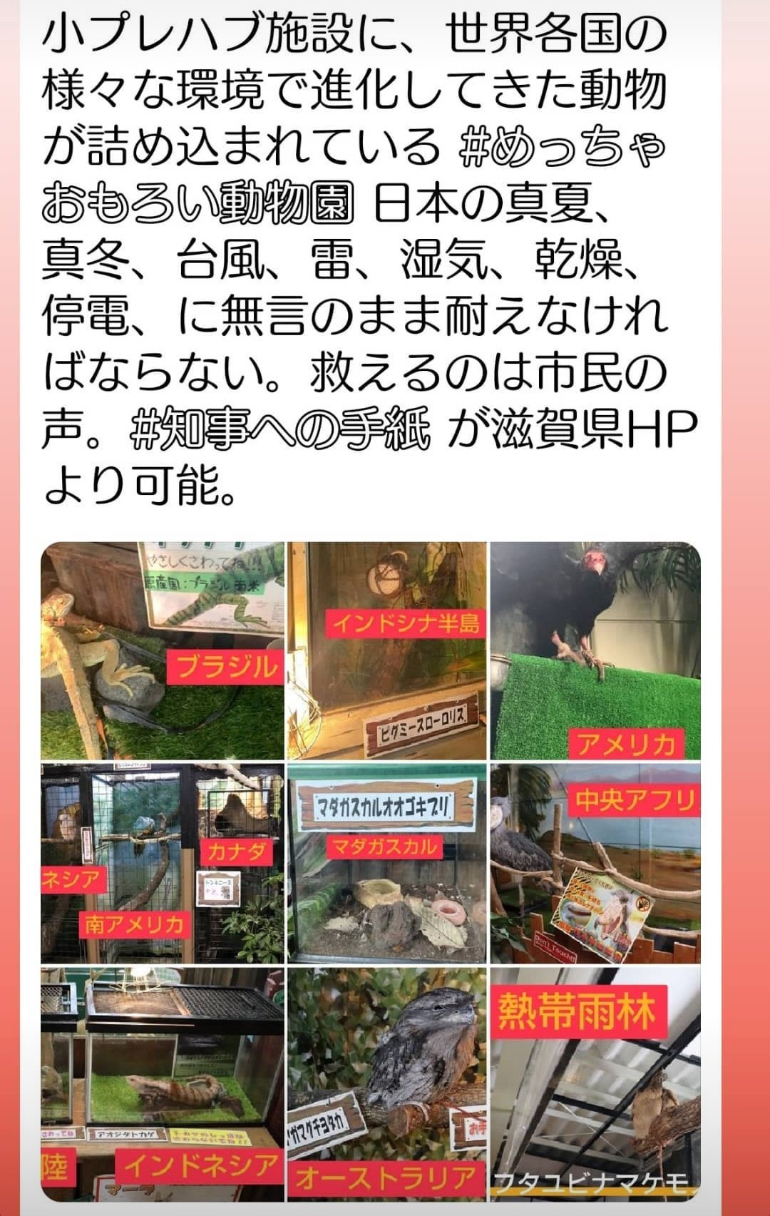知事への手紙 Twitter Search Twitter